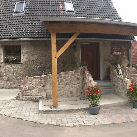 Pension Casa Luciko Brachwitz ภายนอก รูปภาพ